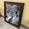 Winter Woods Print