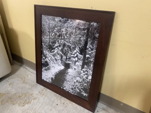 Winter Woods Print