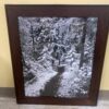 Winter Woods Print