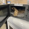 LG Smart Inverter Magnetron Microwave