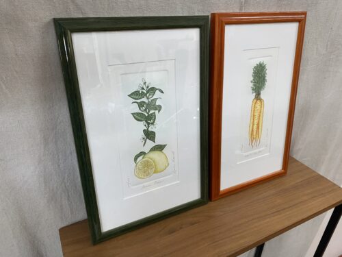 "Lemon Drop" & "What's Up Doc" By Bailey Tidewell