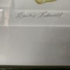 "Lemon Drop" & "What's Up Doc" By Bailey Tidewell