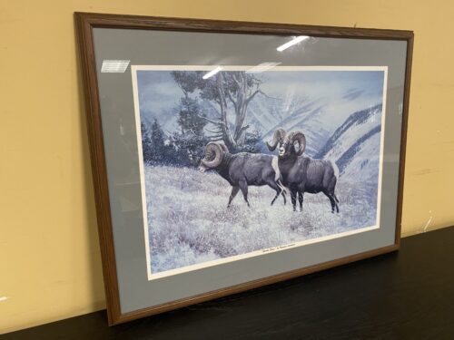 "Gentle Snow" By Hayden Lambson