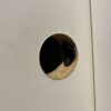 RELIABILT 2-Panel Smooth Molded Pre-Hung Hollow Core Door