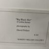 "Big Black Hat" By David Pollart