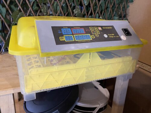 Electric Egg Incubator, 56 Count