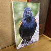 Photograph of Bird By Phyllis McDaniel