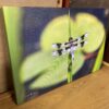 Photograph of Dragonfly By Phyllis McDaniel