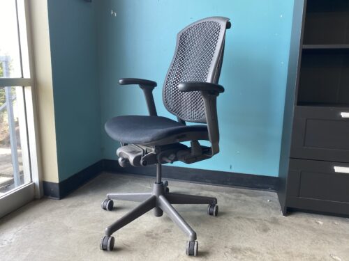 HERMAN MILLER Adjustable Ergonomic Office Chair Model #CELL