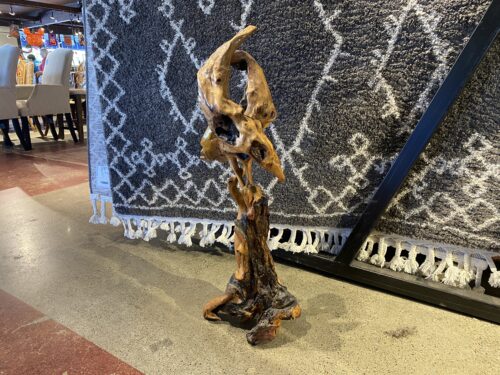 Natural Cypress Tree Root Abstract Sculpture