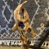 Natural Cypress Tree Root Abstract Sculpture