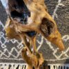 Natural Cypress Tree Root Abstract Sculpture