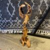 Natural Cypress Tree Root Abstract Sculpture