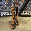 Natural Cypress Tree Root Abstract Sculpture