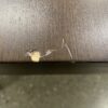 IKEA Ekedalen Dark Brown Rectangular Dining Table w/ Built in Leaf