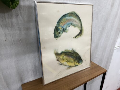 "Rainbow Trout and Carp" By Warren T. Payne