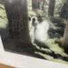"Spirit in the Redwood Forest" Print