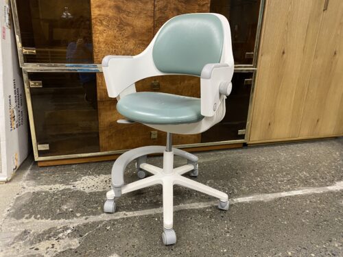 RINGO Mint Ergonomic Office Chair