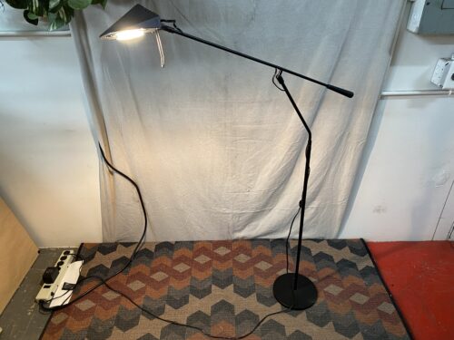 Modern Black Adjustable Task Floor Lamp