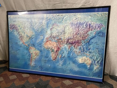 Framed Topographical World Map