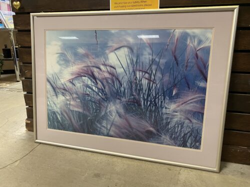Grass in the Wind Art Print