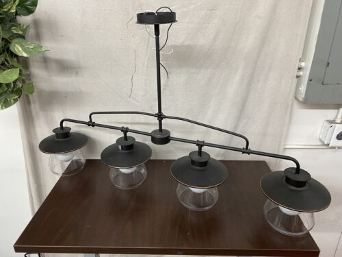 GLOBE 4-Light Pendant Chandelier w/ Glass Shades