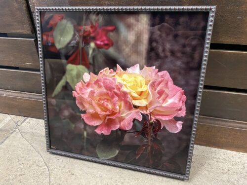 "Triplets" Photo Print by Phyllis McDaniel