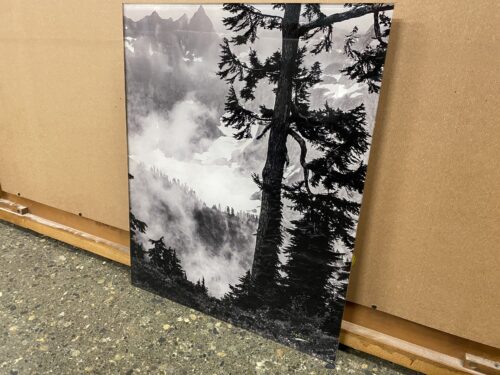 "Silent Sentinel" Photo Print on Acrylic by Larey McDaniel