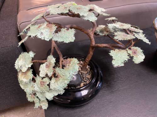 Original Metal Bonsai Sculpture by David Steffler