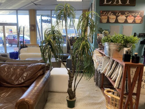 Large Faux Pygmy Date Palm Plant in Green Ceramic Pot