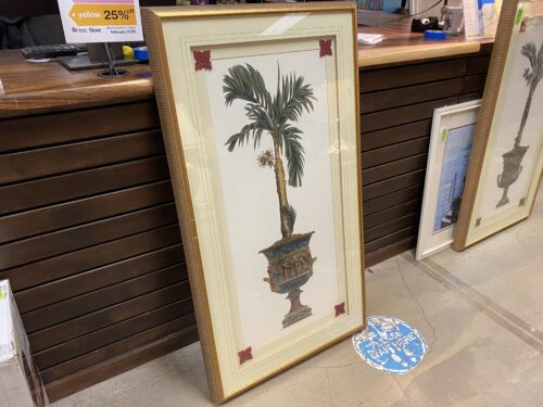 "Elongated Palm II" Print in Gold Ribbed Frame