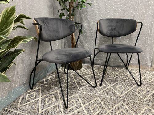 MODWAY  Prevail Charcoal Performance Velvet Chairs with Black Stainless Steel Base and Wooden Back (Set of 2)