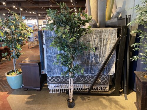 Artificial White Wood Ficus Tree with Small Plastic Pot