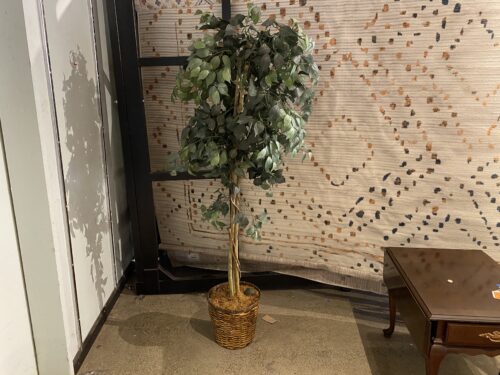 Artificial Ficus Tree with Wicker Pot