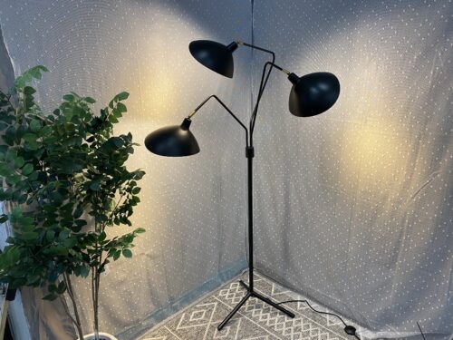 SAFAVIEH Iris Black and Brass 3 Arm Articulating Floor Lamp