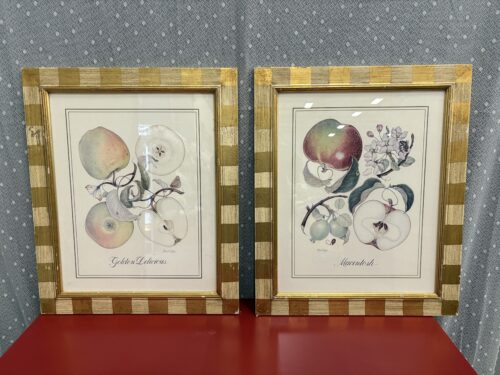 Watercolor Apples Art in Golden Stripped Frame (Set of 2)