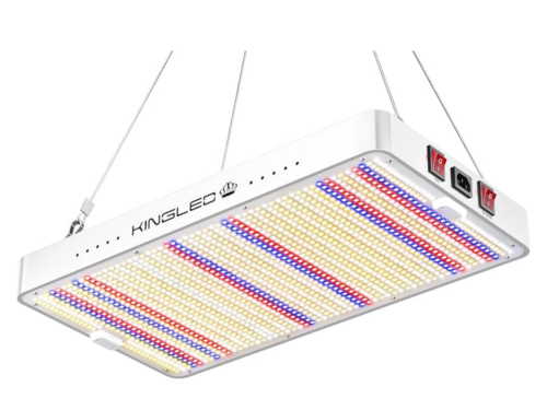 KINGLED Plus Series 3000Watt LED Grow Light for Indoor Plants