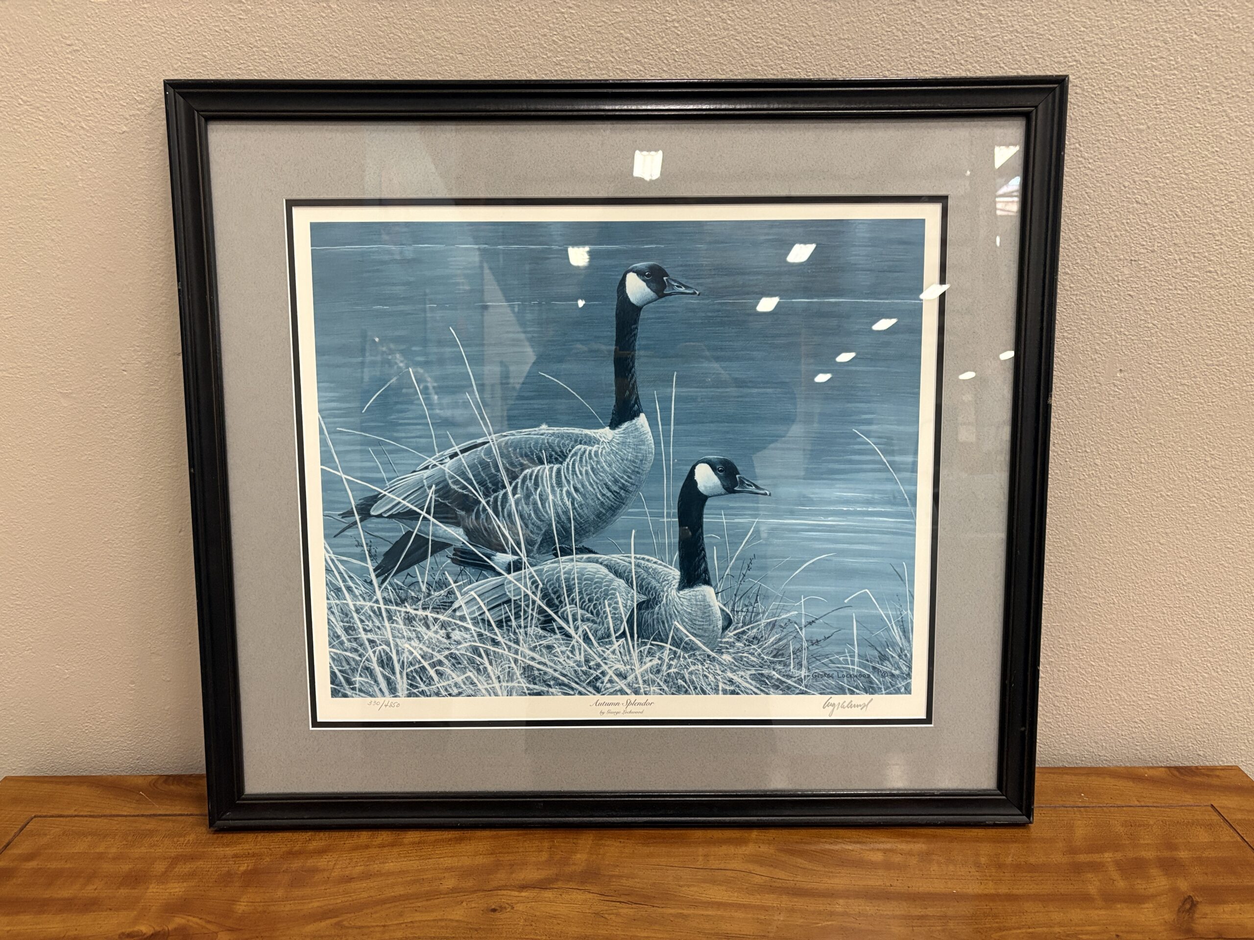 Signed Canadian Geese Art Print in Sleek Black Frame