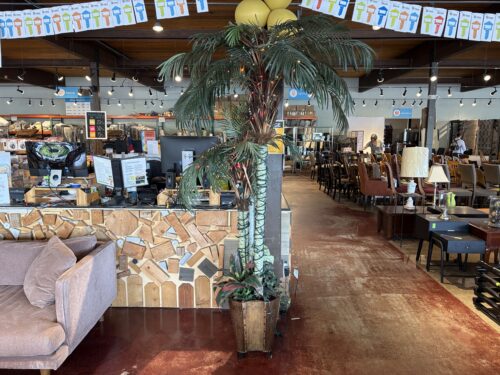 6 Foot Indoor Artificial Double Sugo Palm Tree in Designer Planter