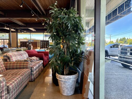 7' Tall Artificial Raphis Palm Tree in Grey Planter