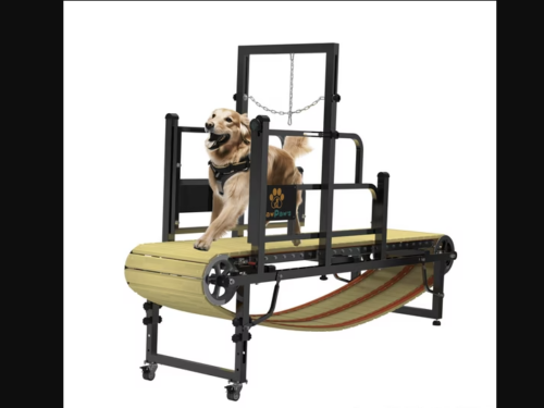 PAWPAW'S Dog Treadmill for Large Dogs, Indoor or Outdoor