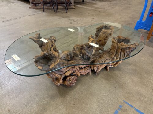 Organic Modern Burl Root Wood Base Coffee Table with Asymmetrical Glass Top