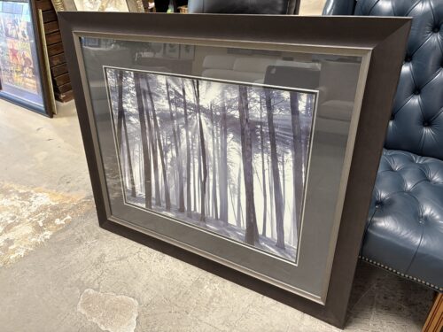 Sunbeams Through the Forest Framed Print