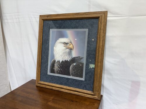 James Meger "Spectrum" Signed & Numbered Framed Print