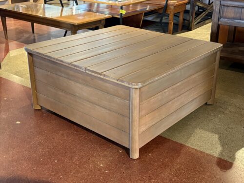 NEW! ARTICLE Elise 34.75" Outdoor Storage Coffee Table - Light Eucalytpus