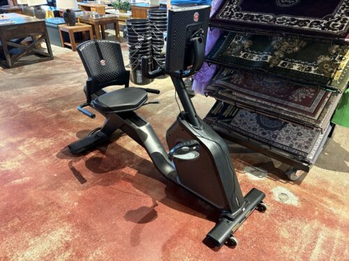SCHWINN 290 Recumbent Exercise Bike